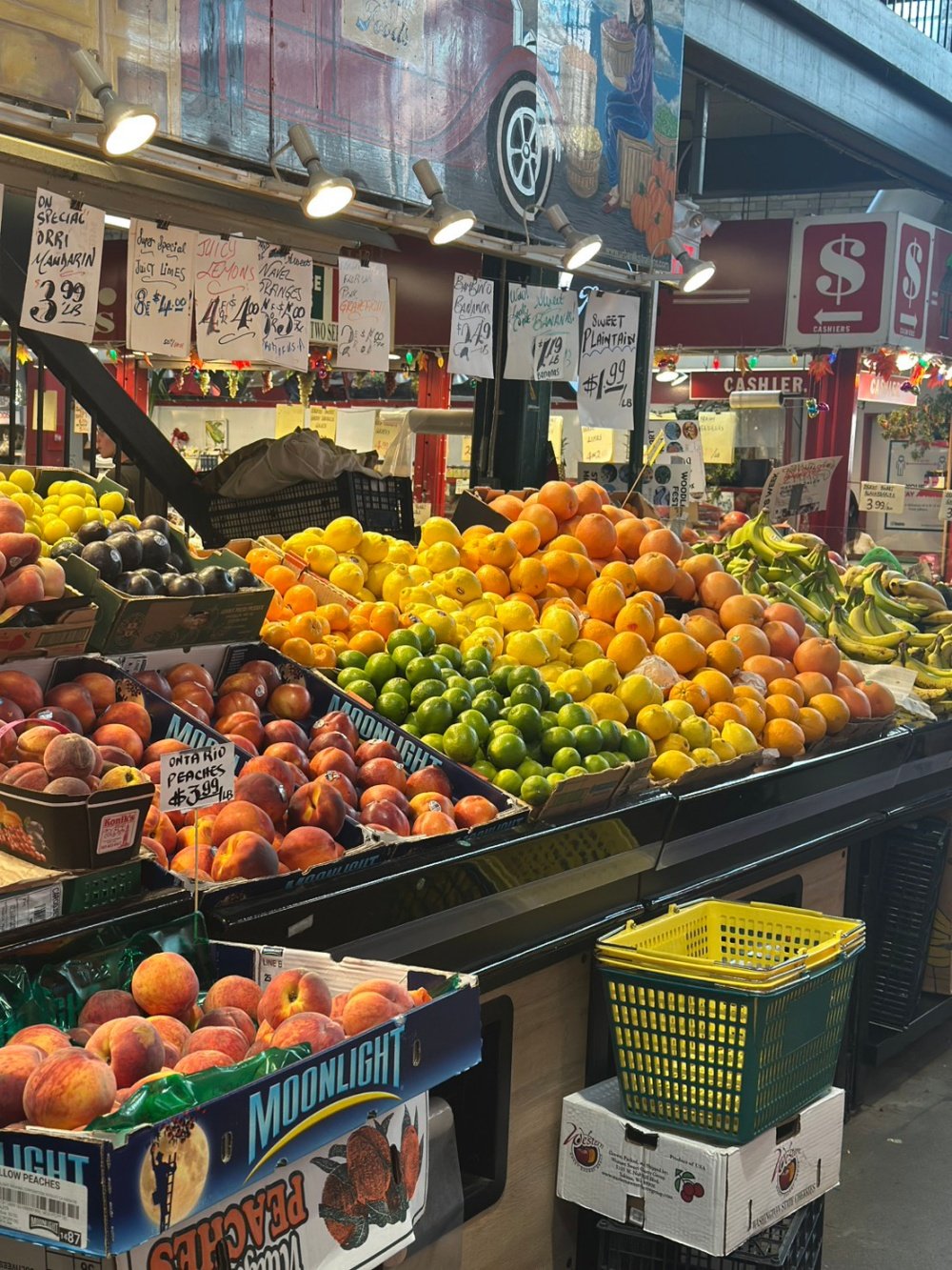 加拿大遊學心得